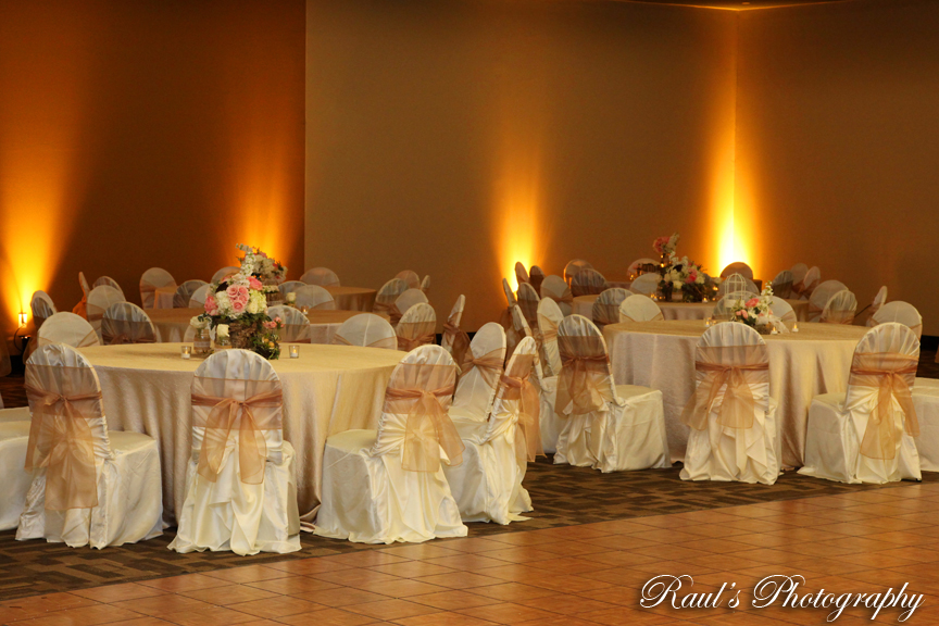 San Antonio Event Planner